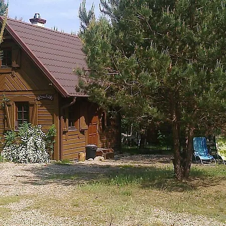 Villa Dom Wiktor Kaszuby Do 5 Os. Olpuch Exterior foto